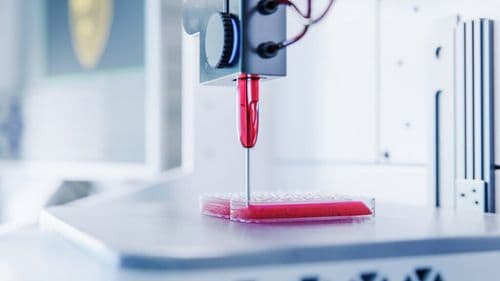 Scientists Just 3D Printed Human Organs