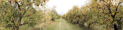 Sharing Inherited Land With The Community